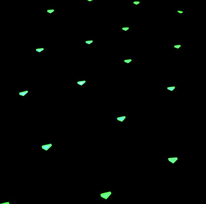 Tapetum Lucidum Patch